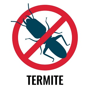Termite Control (Latest Technology of Porous Piping available for Anti Termite Treatment)